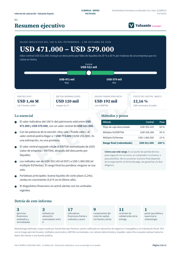 Resumen del informe de ejemplo, empresa ficticia